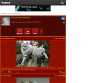 Tablet Screenshot of chatonatoutprix.skyrock.com