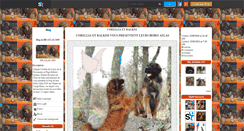 Desktop Screenshot of bb-atlas-2009.skyrock.com