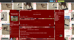 Desktop Screenshot of didine29600.skyrock.com