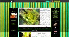 Desktop Screenshot of naiitch--x3.skyrock.com