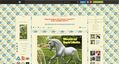 Desktop Screenshot of breyer-collection.skyrock.com