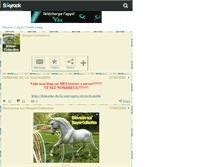 Tablet Screenshot of breyer-collection.skyrock.com