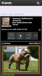 Mobile Screenshot of americanstaff02.skyrock.com