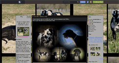 Desktop Screenshot of dogueallemand33.skyrock.com