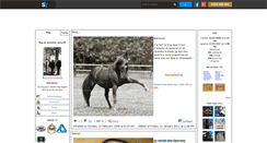 Desktop Screenshot of equitation-matos44.skyrock.com