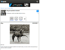 Tablet Screenshot of equitation-matos44.skyrock.com