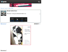 Tablet Screenshot of bordercollie-club.skyrock.com