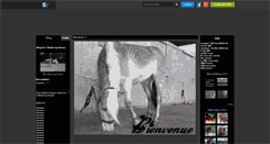 Desktop Screenshot of i-think-my-horse.skyrock.com