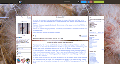 Desktop Screenshot of 4ls.skyrock.com