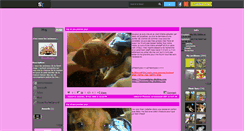 Desktop Screenshot of macflaymiss.skyrock.com