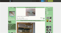 Desktop Screenshot of geckoscorp.skyrock.com