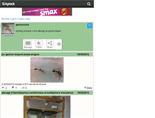 Tablet Screenshot of geckoscorp.skyrock.com