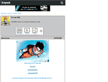 Tablet Screenshot of gohan-and-gotrunks.skyrock.com