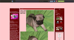 Desktop Screenshot of chiotshihtzu.skyrock.com