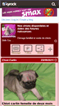 Mobile Screenshot of chiotshihtzu.skyrock.com