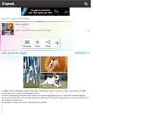 Tablet Screenshot of chien-agility.skyrock.com