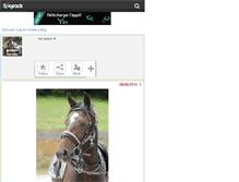 Tablet Screenshot of golden-horses.skyrock.com