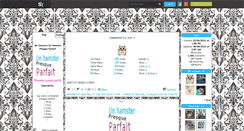 Desktop Screenshot of hamster-presque-parfait.skyrock.com