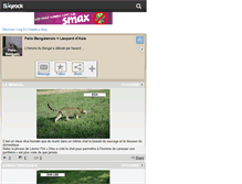 Tablet Screenshot of felis-bengalis.skyrock.com