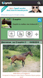 Mobile Screenshot of d-auphin.skyrock.com