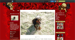 Desktop Screenshot of bianca-et-ses-7-nains.skyrock.com