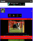 Tablet Screenshot of chien-agility-photo.skyrock.com