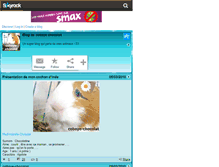 Tablet Screenshot of cobaye-chocolat.skyrock.com