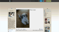 Desktop Screenshot of bbshih-tzu.skyrock.com