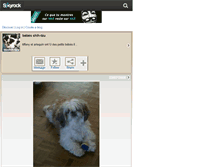 Tablet Screenshot of bbshih-tzu.skyrock.com