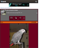 Tablet Screenshot of elvis-gris-du-gabon.skyrock.com