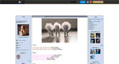 Desktop Screenshot of danseducentre95100.skyrock.com