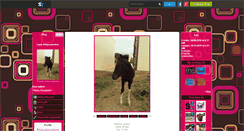 Desktop Screenshot of equii-sh0ps-passiion.skyrock.com