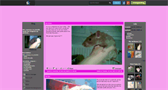 Desktop Screenshot of chezlesrats.skyrock.com