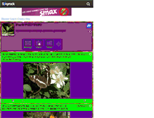 Tablet Screenshot of insectissimo.skyrock.com