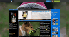 Desktop Screenshot of jujudogs.skyrock.com