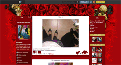 Desktop Screenshot of belles-chaussures.skyrock.com