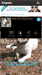 Mobile Screenshot of ilovejackrussel.skyrock.com