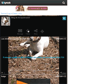 Tablet Screenshot of ilovejackrussel.skyrock.com