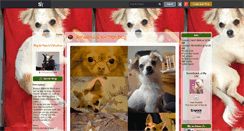 Desktop Screenshot of chihuahuamaya.skyrock.com