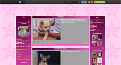 Desktop Screenshot of chihuahua-66.skyrock.com