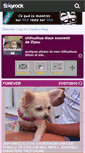 Mobile Screenshot of chihuahua-66.skyrock.com