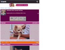 Tablet Screenshot of chihuahua-66.skyrock.com