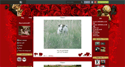 Desktop Screenshot of jackrussell07.skyrock.com