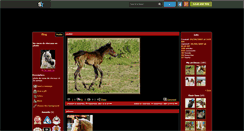 Desktop Screenshot of chevalphoto.skyrock.com