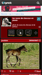 Mobile Screenshot of chevalphoto.skyrock.com