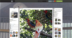 Desktop Screenshot of piou-piou-1717.skyrock.com