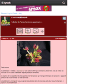 Tablet Screenshot of carnivorebotanik.skyrock.com