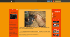Desktop Screenshot of flish-flash.skyrock.com