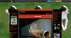 Desktop Screenshot of domtom2233.skyrock.com