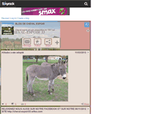 Tablet Screenshot of cheval-espoir33.skyrock.com